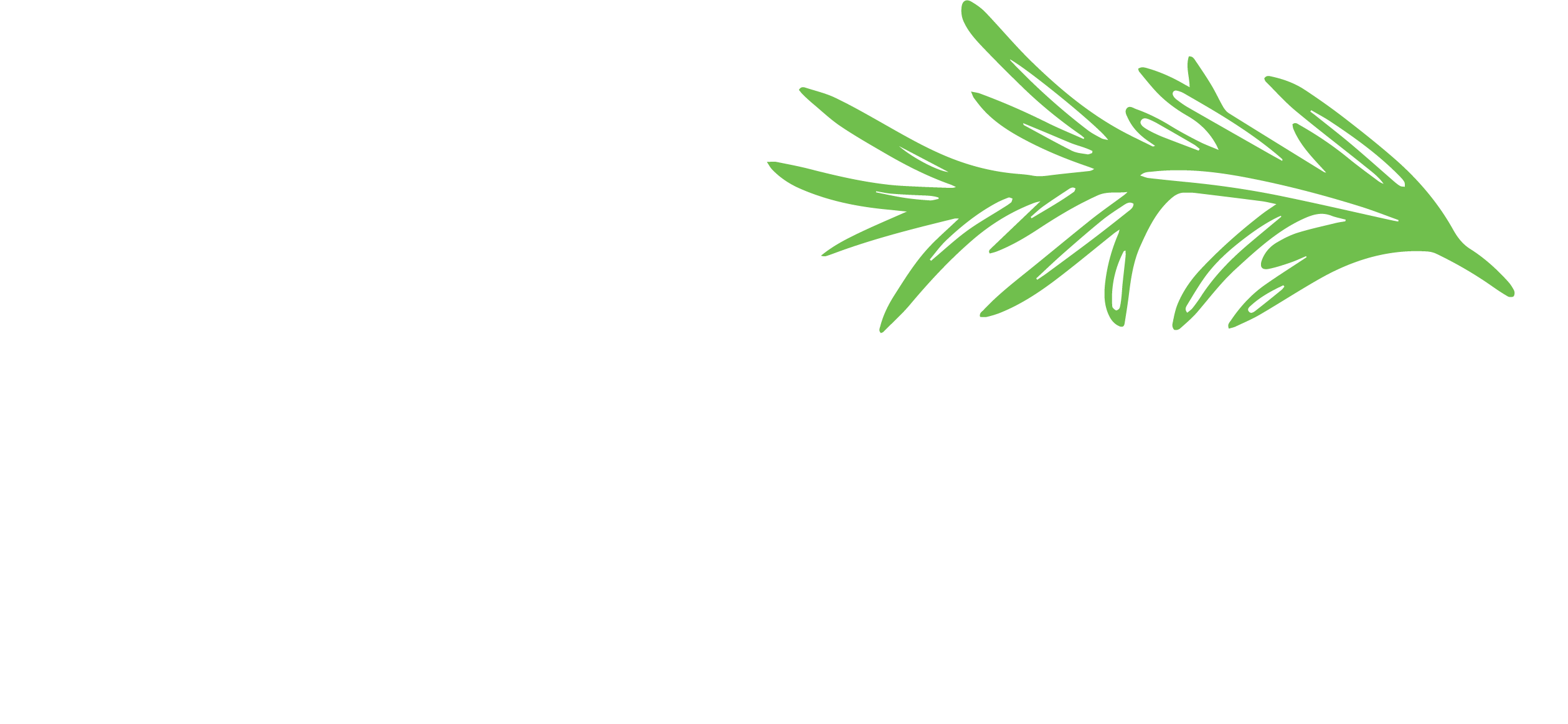 logo rosamrino pizza cucina